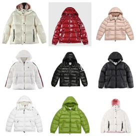 Moncler Montbeliard series hooded warm short zipper down jacket-4306